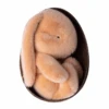 Maileg Bunny Plush In Egg - Melon -Maileg EmailSQUARES 51 2048x 29853.1677344280